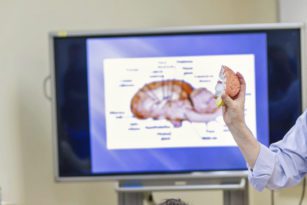 biology teacher holding up model with powerpoint in background