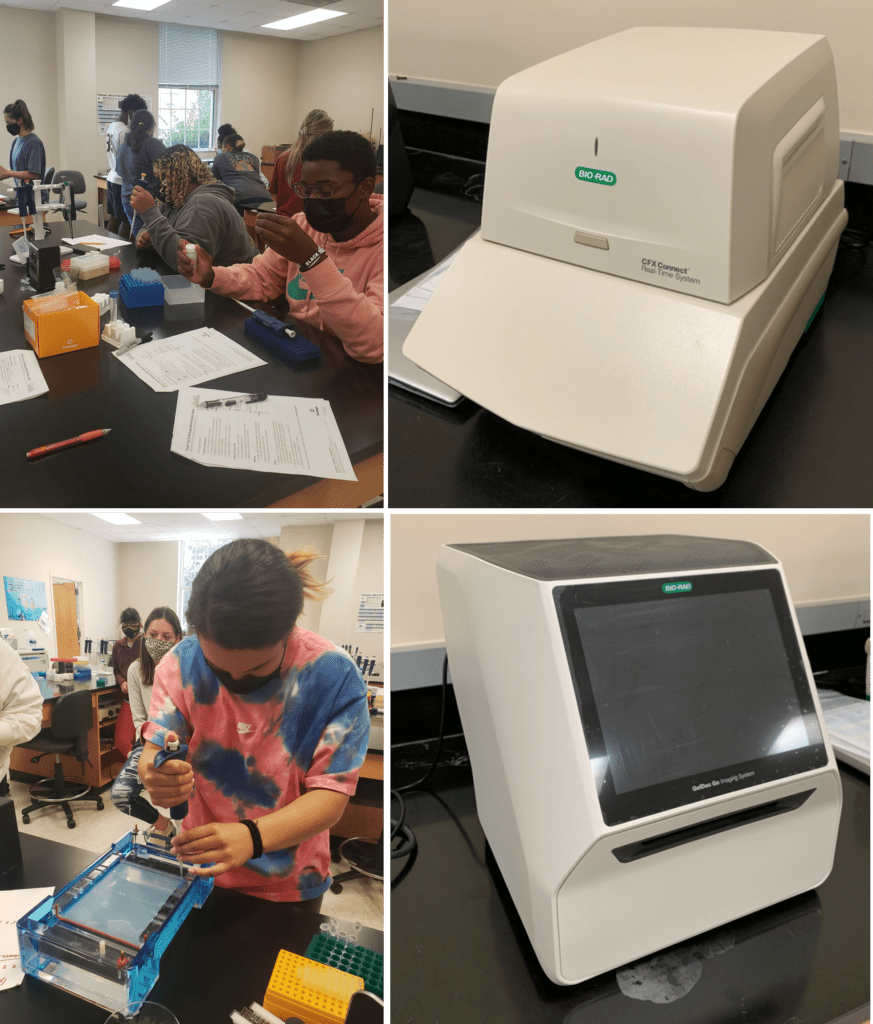 Students prepare samples