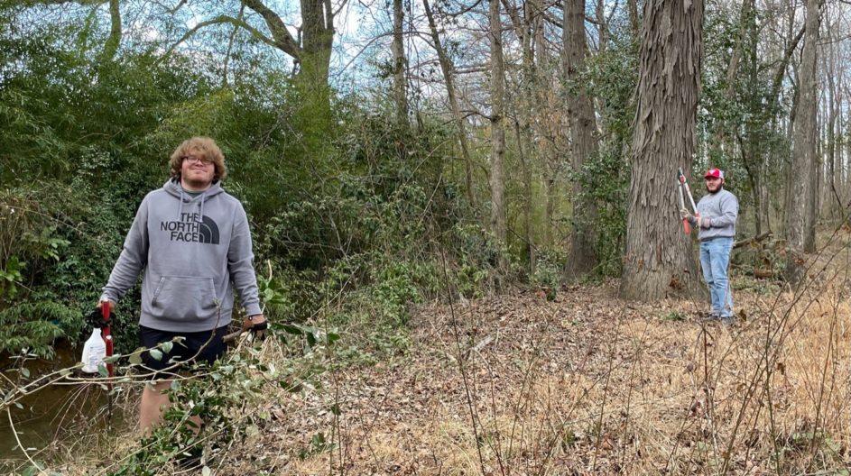 Students remove invasive plants