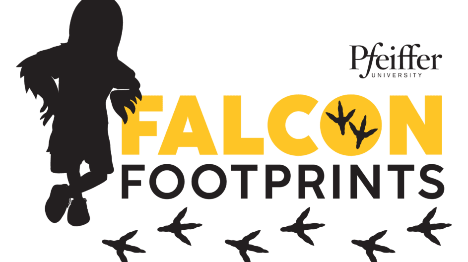 Falcon Footprints